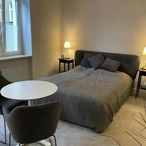 Apartament Spacious In The Heart Of Poznan,old Town, Poznań